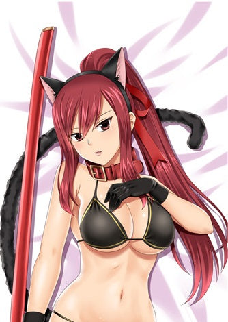 Erza Scarlet Fairy Tale