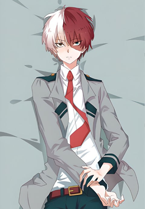 My Hero Academia Shoto Todoroki