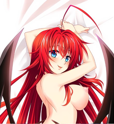 High School DXD Rias&Akeno 