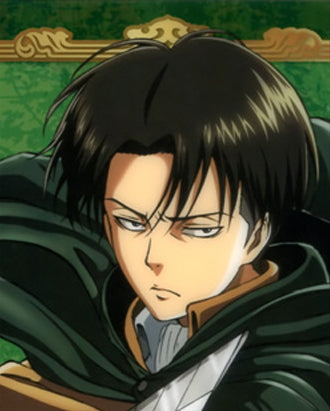 Levi Eren (2) Attack on Titan