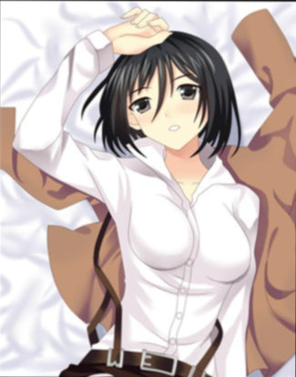 Mikasa (2) Attack on Titan