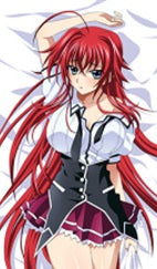 Rias High School DxD