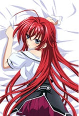 Rias High School DxD