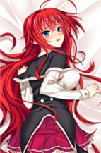 Rias High School DxD