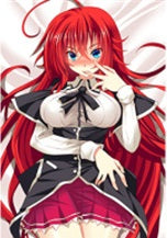 Rias High School DxD